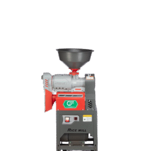 Raja (DN Agro), 6N, 2020 , Single Phase 3 H.P.